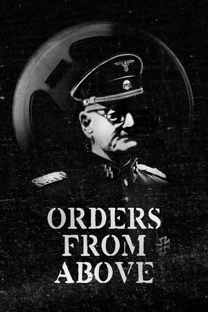 Watch Free Orders from Above (2021)