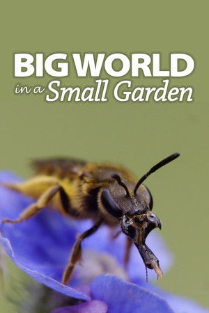 Watch Free Big World in a Small Garden (2016)