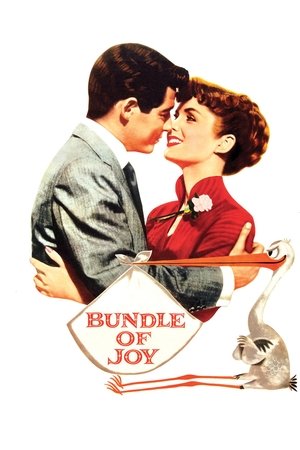 Watch Free Bundle of Joy (1956)