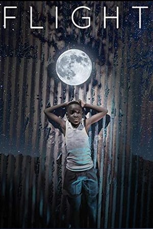 Watch Free Flight (2018)