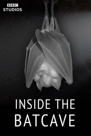 Watch Free Inside the Bat Cave (2020)