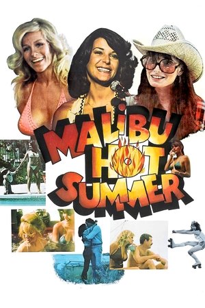 Watch Free Malibu Hot Summer (1981)