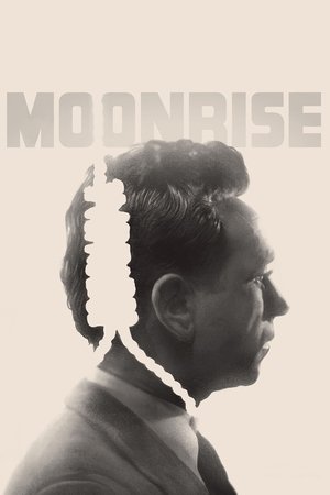 Watch Free Moonrise (1948)