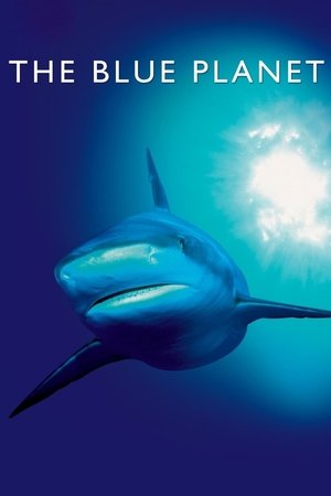 Watch Free The Blue Planet (2001)
