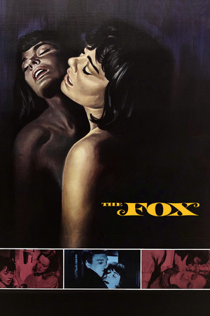 Watch Free The Fox (1967)