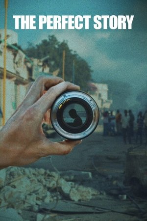 Watch Free The Perfect Story (2022)