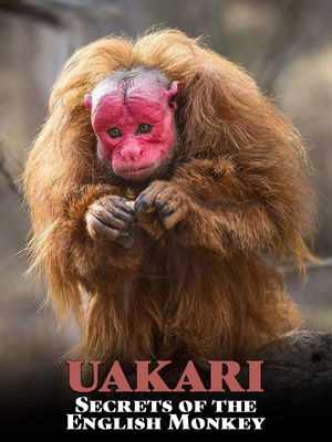 Watch Free Uakari: Secrets of the English Monkey (2009)