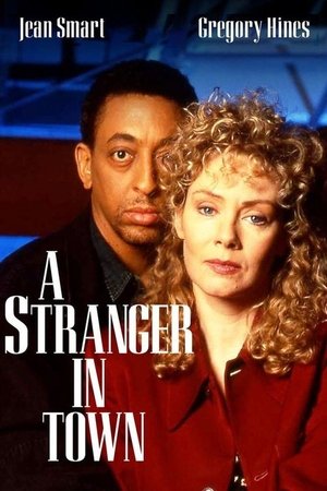 Watch Free A Stranger in Town (1995)