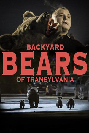 Watch Free Backyard Bears of Transylvania (2023)