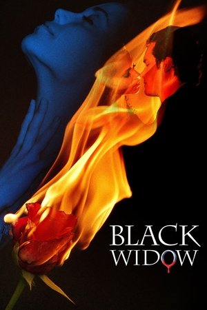 Watch Free Black Widow (2008)