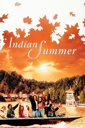 Watch Free Indian Summer (1993)