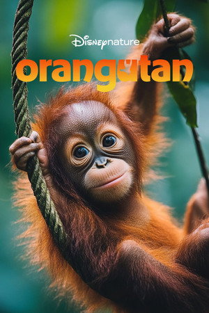 Watch Free Orangutan