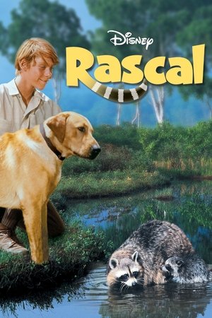 Watch Free Rascal (1969)