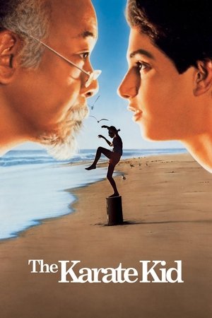 Watch Free The Karate Kid 1984