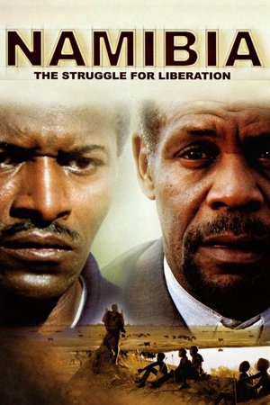 Watch Free Namibia: The Struggle for Liberation (2007)