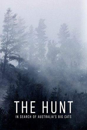 Watch Free The Hunt In Search of Australias Big Cats (2020)