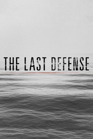 Watch Free The Last Defense 