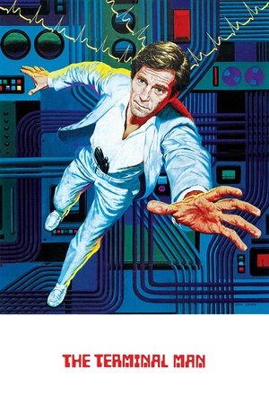 Watch Free The Terminal Man (1974)