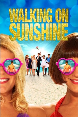 Watch Free Walking on Sunshine (2014)