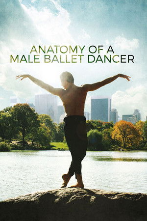 Watch Free Anatomy of a Male Ballet Dancer (2017)
