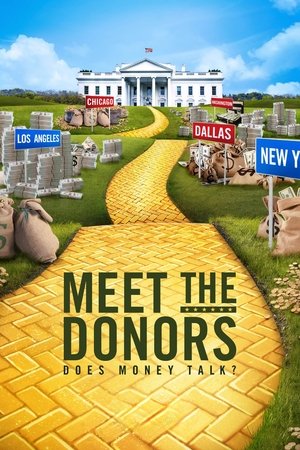 Watch Free Meet the Donors: Does Money Talk? (2016)