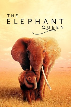 Watch Free The Elephant Queen (2019)