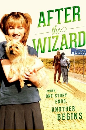 Watch Free After the Wizard (2011)
