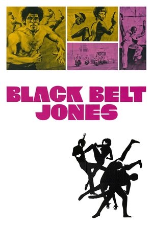 Watch Free Black Belt Jones (1974)