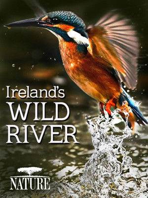 Watch Free Irelands Wild River (2014)