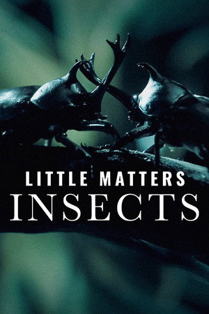 Watch Free Little Matters Insects (2014)