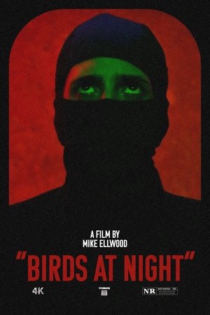 Watch Free Birds at Night (2023)