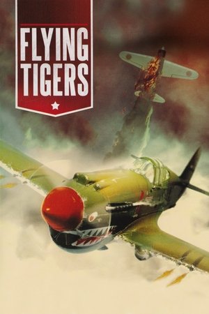 Watch Free Flying Tigers (1942)
