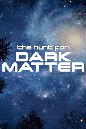 Watch Free The Hunt for Dark Matter (2017)