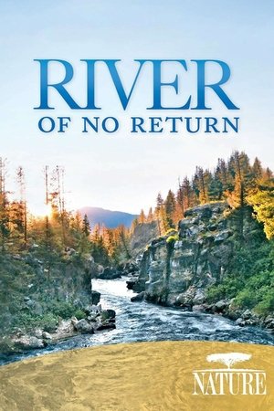 Watch Free River of No Return (2012)