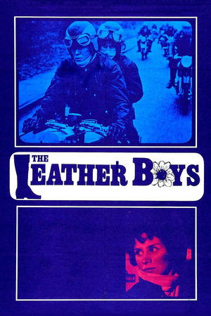 Watch Free The Leather Boys (1964)