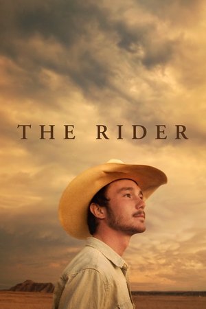 Watch Free The Rider (2017)