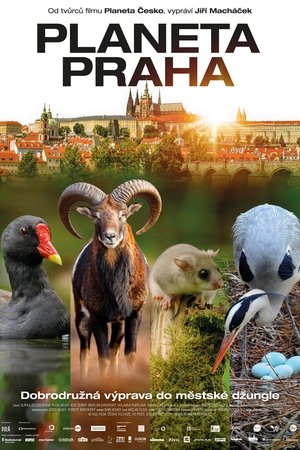 Watch Free Planeta Praha (2022)
