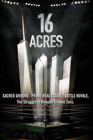 Watch Free 16 Acres (2012)