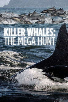 Watch Free Killer Whales: The Mega Hunt (2016)