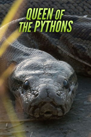 Watch Free Queen of the Pythons (2019)
