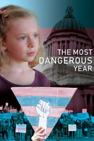Watch Free The Most Dangerous Year (2018)