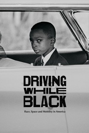 Watch Free Driving While Black Race, Space and Mobility in America (2020)