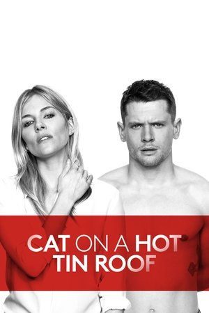 Watch Free Cat on a Hot Tin Roof (2018)