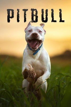 Watch Free Pitbull (2018)