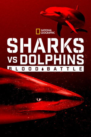 Watch Free Sharks vs Dolphins Blood Battle (2020)