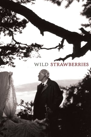 Watch Free Wild Strawberries (1957)
