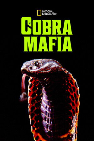 Watch Free Cobra Mafia (2015)
