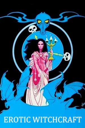 Watch Free Erotic Witchcraft (1972)