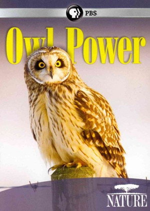 Watch Free Owl Power (2015)