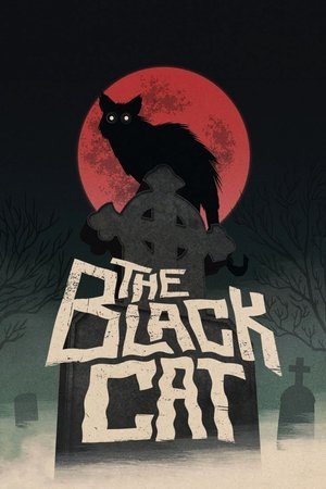 Watch Free The Black Cat (1981)